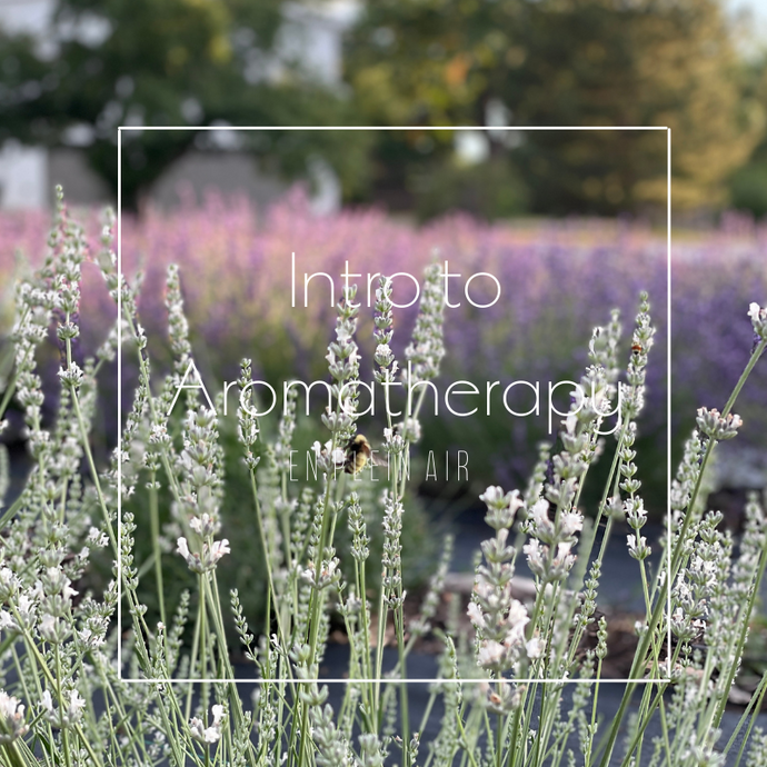 Intro to Aromatherapy | July 11