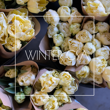 Load image into Gallery viewer, Winter CSA