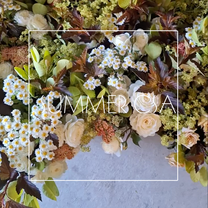 2026 Summer CSA (6 Week Subscription)