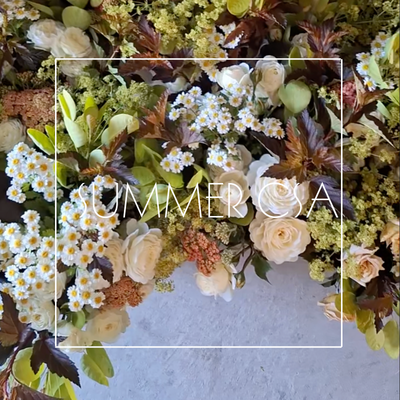 2026 Summer CSA (6 Week Subscription)