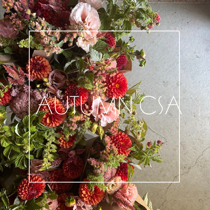 2026 Autumn CSA (6-Week Subscription)