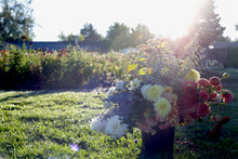 Load image into Gallery viewer, Fall Pick Your Own | September 26