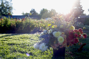 Fall Pick Your Own | September 26
