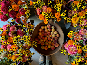 Autumn CSA