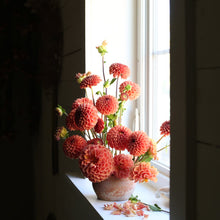 Load image into Gallery viewer, Dahlia, Cornel Bronze